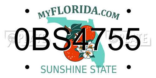 0BS4755 Florida License Plate