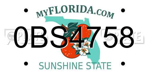 0BS4758 Florida License Plate