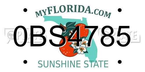 0BS4785 Florida License Plate