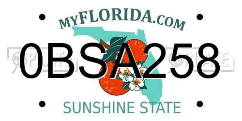 0BSA258 Florida License Plate