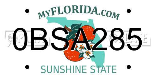 0BSA285 Florida License Plate