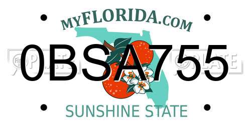 0BSA755 Florida License Plate