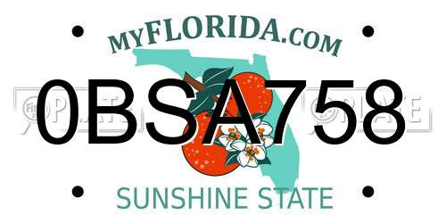 0BSA758 Florida License Plate