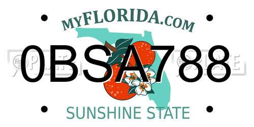 0BSA788 Florida License Plate