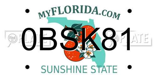 0BSK81 Florida License Plate