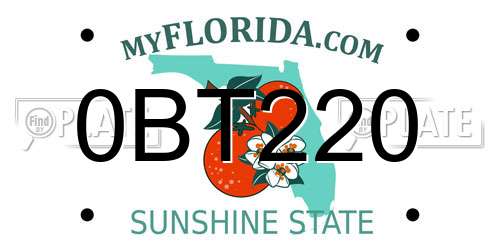 0BT220 Florida License Plate