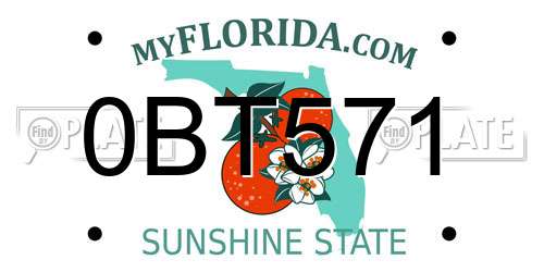 0BT571 Florida License Plate