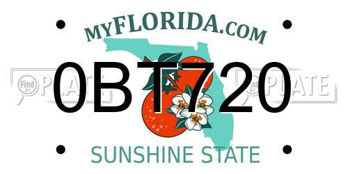 0BT720 Florida License Plate