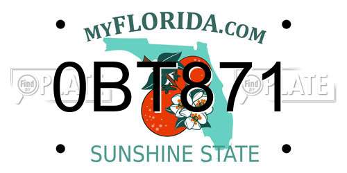 0BT871 Florida License Plate