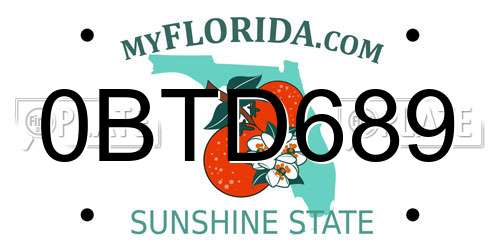 0BTD689 Florida License Plate
