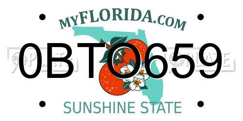 0BTO659 Florida License Plate