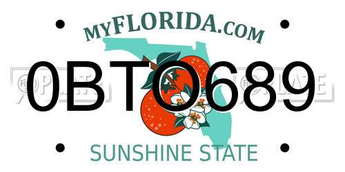0BTO689 Florida License Plate