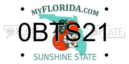 0BTS21 Florida License Plate