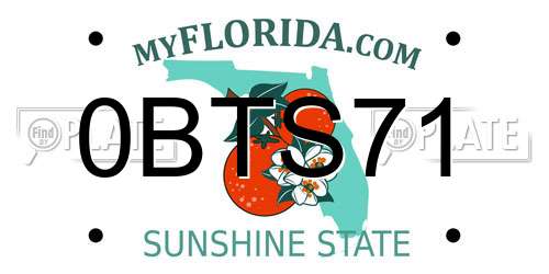 0BTS71 Florida License Plate