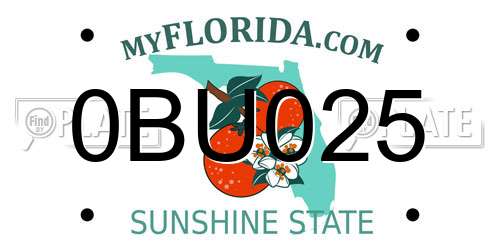 0BU025 Florida License Plate
