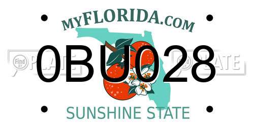 0BU028 Florida License Plate