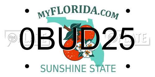 0BUD25 Florida License Plate