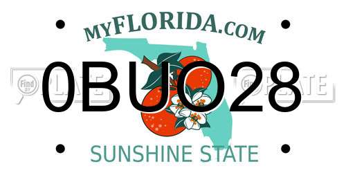 0BUO28 Florida License Plate