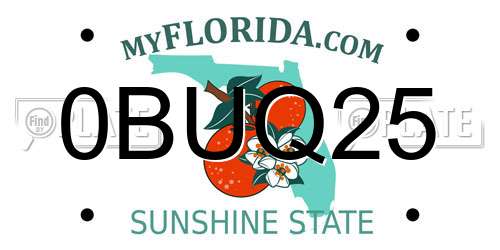0BUQ25 Florida License Plate