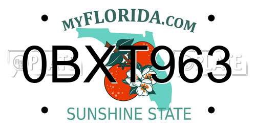0BXT963 Florida License Plate