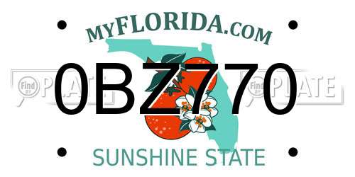 0BZ770 Florida License Plate