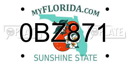 0BZ871 Florida License Plate