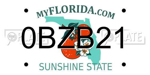 0BZB21 Florida License Plate