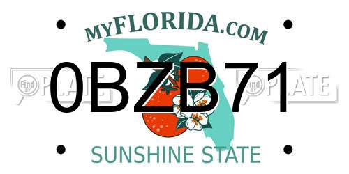 0BZB71 Florida License Plate