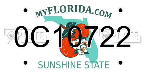 0C10722 Florida License Plate