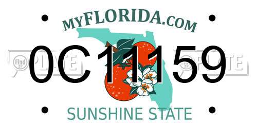 0C11159 Florida License Plate