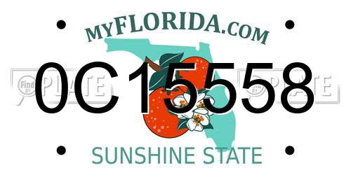 0C15558 Florida License Plate