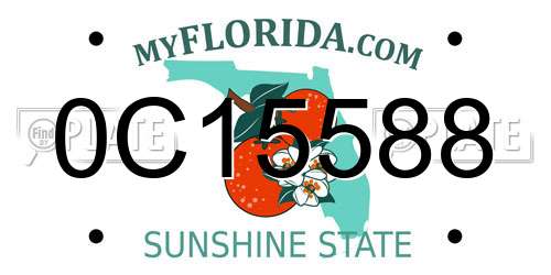 0C15588 Florida License Plate