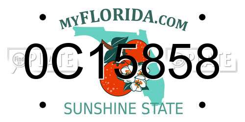 0C15858 Florida License Plate