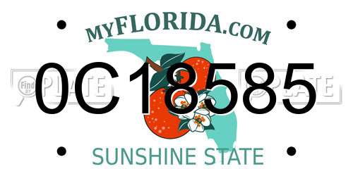 0C18585 Florida License Plate