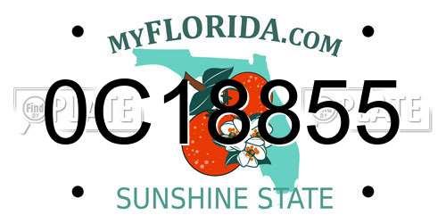 0C18855 Florida License Plate