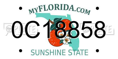 0C18858 Florida License Plate