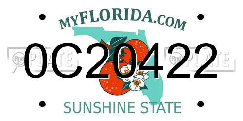 0C20422 Florida License Plate