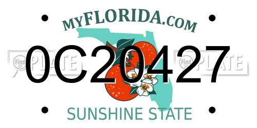 0C20427 Florida License Plate