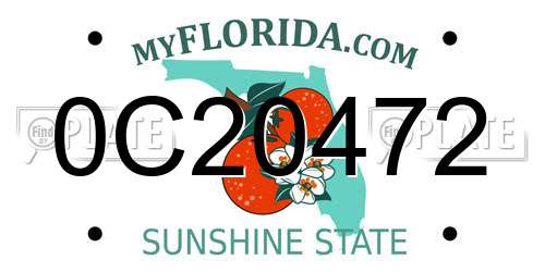 0C20472 Florida License Plate
