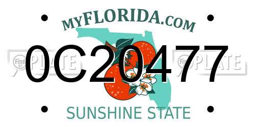 0C20477 Florida License Plate