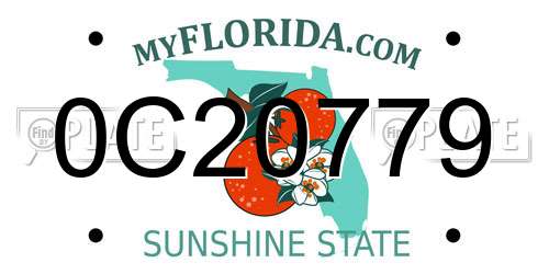 0C20779 Florida License Plate