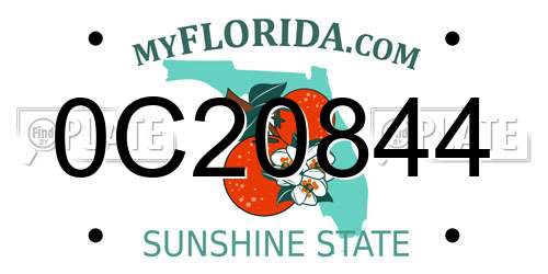 0C20844 Florida License Plate