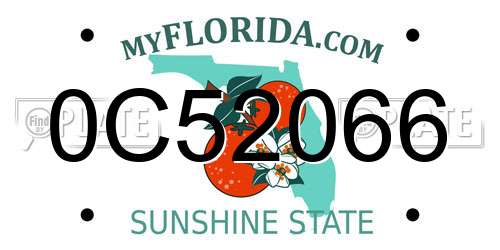0C52066 Florida License Plate