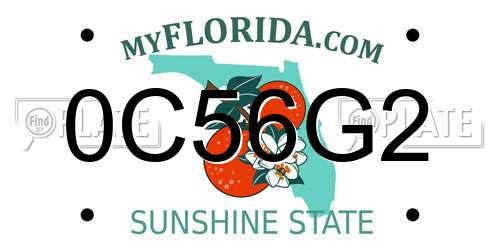 0C56G2 Florida License Plate