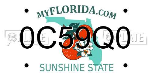 0C59Q0 Florida License Plate