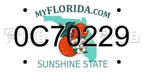 0C70229 Florida License Plate
