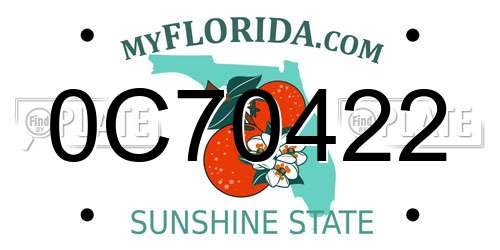 0C70422 Florida License Plate