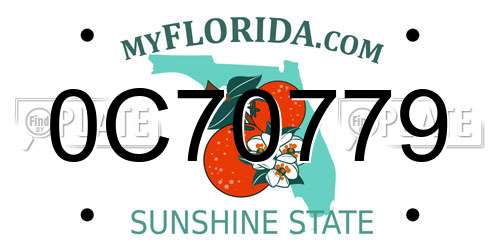 0C70779 Florida License Plate