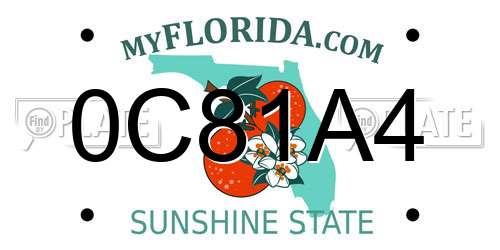 0C81A4 Florida License Plate