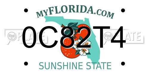 0C82T4 Florida License Plate
